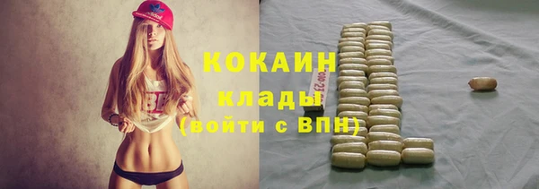 индика Абдулино