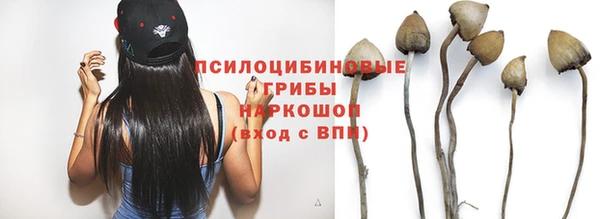 гидропоника Абаза