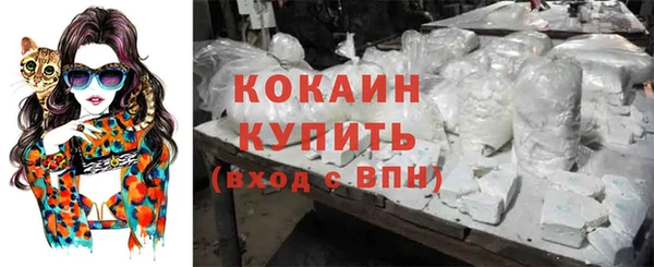 СК Абинск