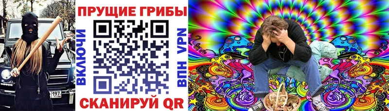 Галлюциногенные грибы MAGIC MUSHROOMS  darknet формула  Заринск 