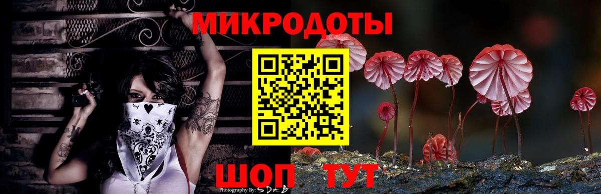 Галлюциногенные грибы Psilocybe  Вход с VPN  Заринск 